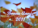 Vid�o BONNE ANN�E SUR LES P�TALES DE COQUELICOTS